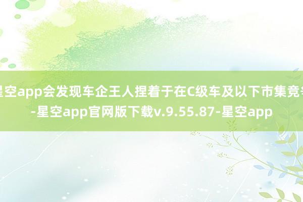 星空app会发现车企王人捏着于在C级车及以下市集竞争-星空app官网版下载v.9.55.87-星空app